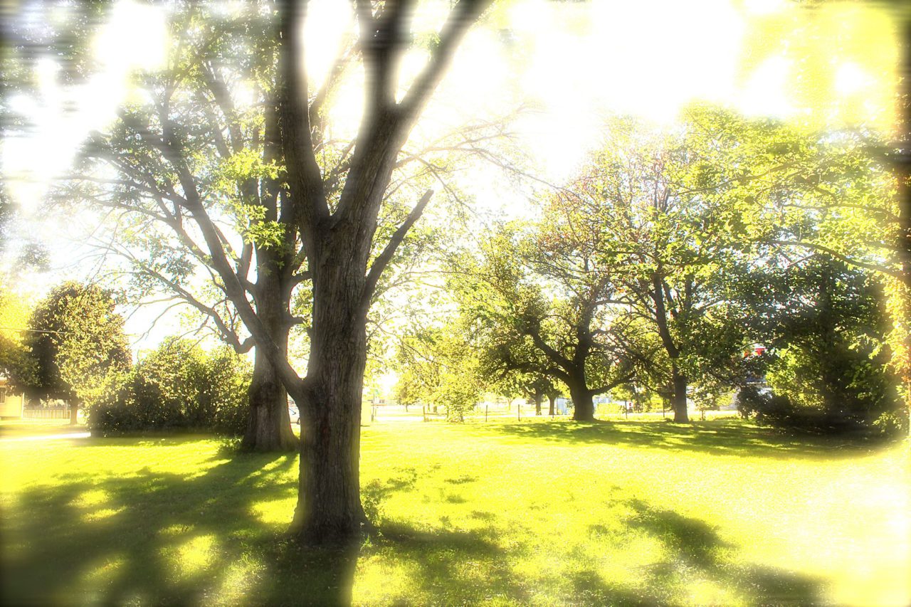 Front yard at Hope Tree in Waterloo, IA.
